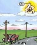 Poze funny - Bibi_4_u - Bancuri
